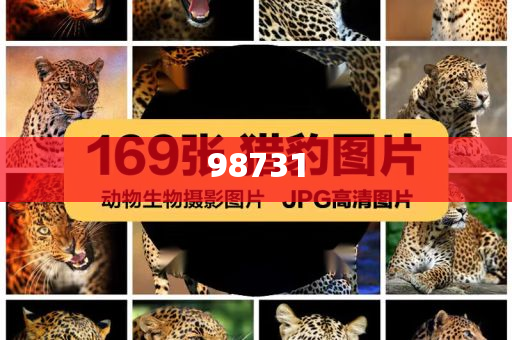 让刘晓庆吃饱分析深度最新_DG版?JJ555，刘晓庆美食之旅，深度解析DG版最新体验，刘晓庆美食探秘，深度解读DG版最新美食之旅