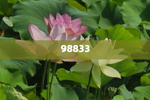 在现代平台找回儿时记忆，移动端模拟器方案盘点经释读速分挑_解元版HG6，怀旧重温，盘点现代移动端模拟器方案，解锁儿时游戏经典，现代移动端模拟器方案盘点，重温儿时游戏经典，解锁怀旧新体验