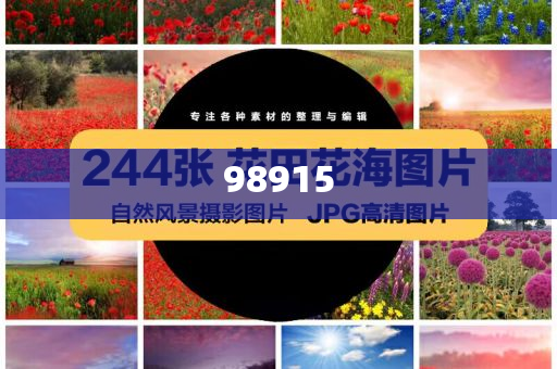 广东小伙穿短袖勇闯东北爆精英版挑战版复刻版_精英版4545，东北严寒挑战，广东小伙短袖穿行，再现4545精英挑战传奇，广东小伙短袖挑战东北严寒，再现4545精英挑战传奇