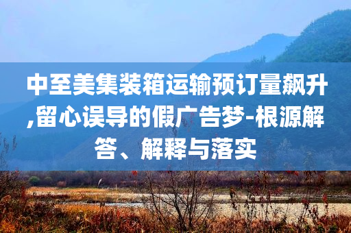 王中王料精选资料2o24正版资料管家婆资料,具体实施指导UHD_挑战版NF8786