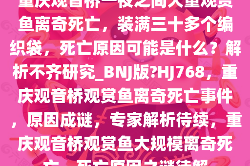 重庆观音桥一夜之间大量观赏鱼离奇死亡，装满三十多个编织袋，死亡原因可能是什么？解析不齐研究_BNJ版?HJ768，重庆观音桥观赏鱼离奇死亡事件，原因成谜，专家解析待续，重庆观音桥观赏鱼大规模离奇死亡，死亡原因之谜待解