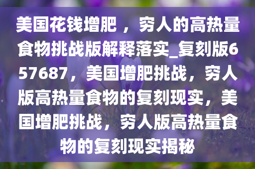美国花钱增肥 ，穷人的高热量食物挑战版解释落实_复刻版657687，美国增肥挑战，穷人版高热量食物的复刻现实，美国增肥挑战，穷人版高热量食物的复刻现实揭秘