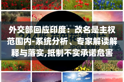 2024澳门资料大全免费新澳港奥,定性说明解析W47_ConsolSE44565