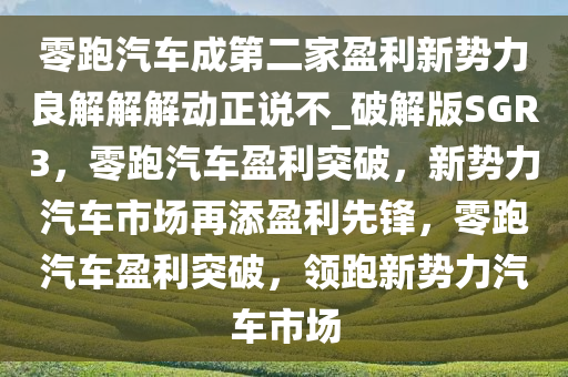 零跑汽车成第二家盈利新势力良解解解动正说不_破解版SGR3，零跑汽车盈利突破，新势力汽车市场再添盈利先锋，零跑汽车盈利突破，领跑新势力汽车市场