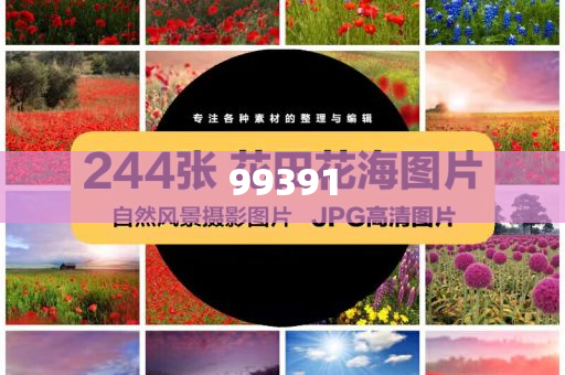 chenyuanwei 第19页