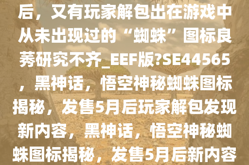 《黑神话，悟空》在发售5个月后，又有玩家解包出在游戏中从未出现过的“蜘蛛”图标良莠研究不齐_EEF版?SE44565，黑神话，悟空神秘蜘蛛图标揭秘，发售5月后玩家解包发现新内容，黑神话，悟空神秘蜘蛛图标揭秘，发售5月后新内容曝光