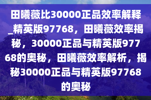 田曦薇比30000正品效率解释_精英版97768，田曦薇效率揭秘，30000正品与精英版97768的奥秘，田曦薇效率解析，揭秘30000正品与精英版97768的奥秘