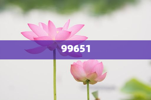 二战德国坦克先进还是苏联坦克先进？分析深度最新_DG版?JJ555，二战德国坦克与苏联坦克性能对比深度解析——DG版新视角，二战德国坦克与苏联坦克性能巅峰对决，DG版深度解析