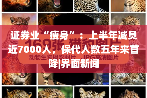 @翔港红星出版网站,权域落刻据戏_EEF版RE35